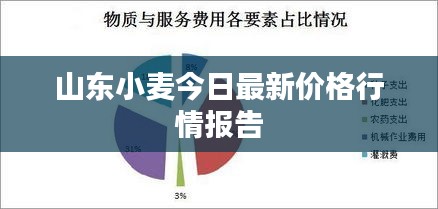 山東小麥今日最新價格行情報告