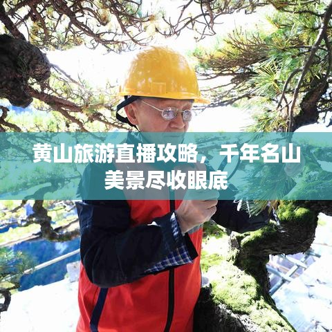 黃山旅游直播攻略，千年名山美景盡收眼底
