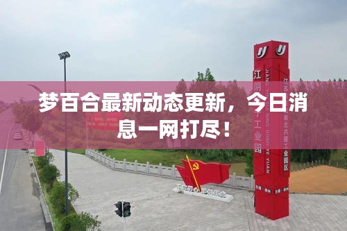 夢(mèng)百合最新動(dòng)態(tài)更新，今日消息一網(wǎng)打盡！