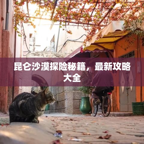 昆侖沙漠探險(xiǎn)秘籍，最新攻略大全