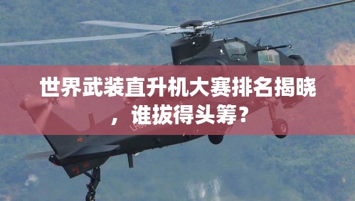世界武裝直升機大賽排名揭曉，誰拔得頭籌？