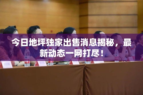 今日地坪獨(dú)家出售消息揭秘，最新動(dòng)態(tài)一網(wǎng)打盡！