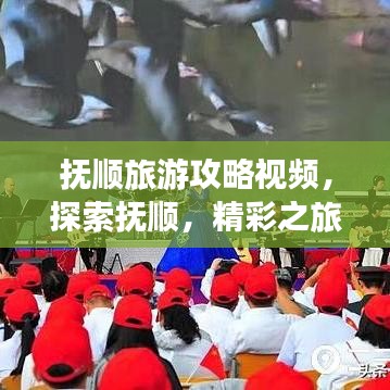 撫順旅游攻略視頻，探索撫順，精彩之旅不容錯(cuò)過(guò)