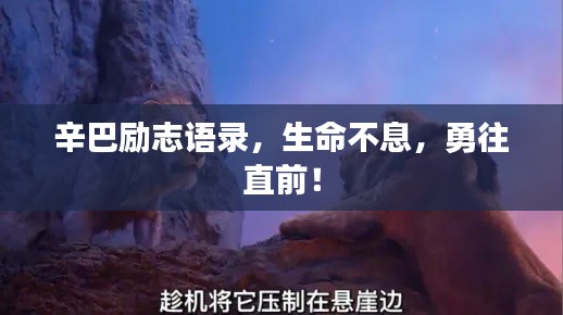 辛巴勵志語錄，生命不息，勇往直前！