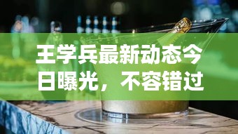 王學兵最新動態(tài)今日曝光，不容錯過！