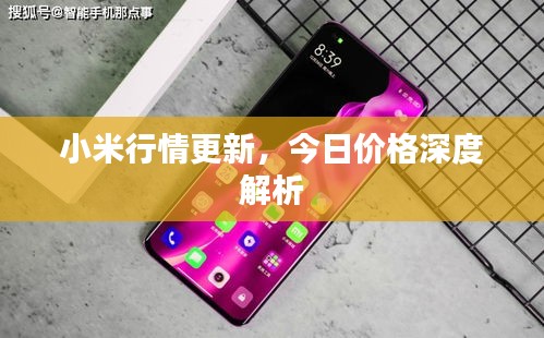 小米行情更新，今日價格深度解析