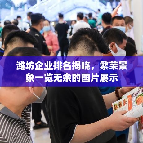 濰坊企業(yè)排名揭曉，繁榮景象一覽無(wú)余的圖片展示