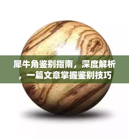 犀牛角鑒別指南，深度解析，一篇文章掌握鑒別技巧