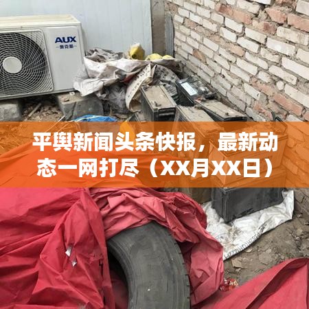 平輿新聞?lì)^條快報(bào)，最新動(dòng)態(tài)一網(wǎng)打盡（XX月XX日）