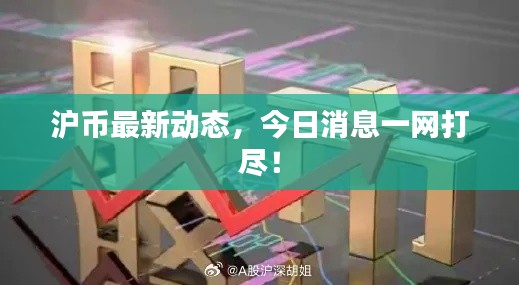滬幣最新動(dòng)態(tài)，今日消息一網(wǎng)打盡！