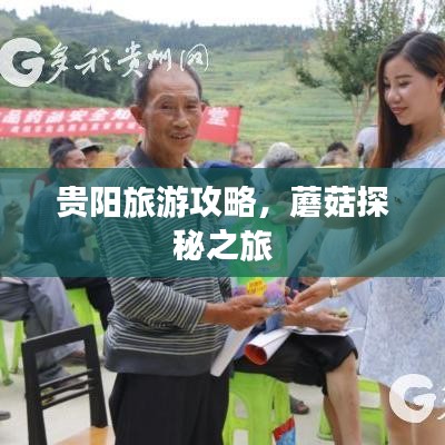 貴陽旅游攻略，蘑菇探秘之旅