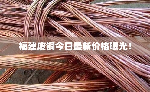 福建廢銅今日最新價(jià)格曝光！