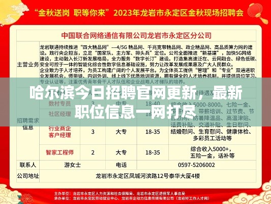 哈爾濱今日招聘官網(wǎng)更新，最新職位信息一網(wǎng)打盡