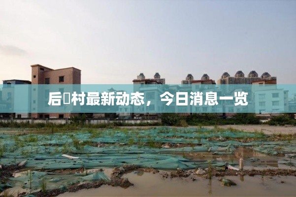 后滘村最新動(dòng)態(tài)，今日消息一覽