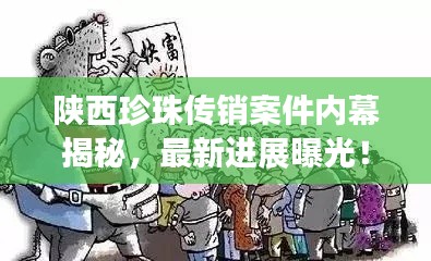 陜西珍珠傳銷(xiāo)案件內(nèi)幕揭秘，最新進(jìn)展曝光！