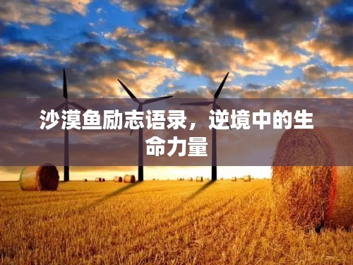 展翅欲飛 第3頁