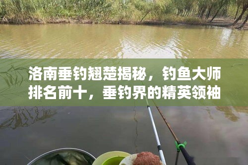 洛南垂釣翹楚揭秘，釣魚大師排名前十，垂釣界的精英領(lǐng)袖！