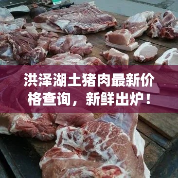 目不轉(zhuǎn)睛 第2頁(yè)