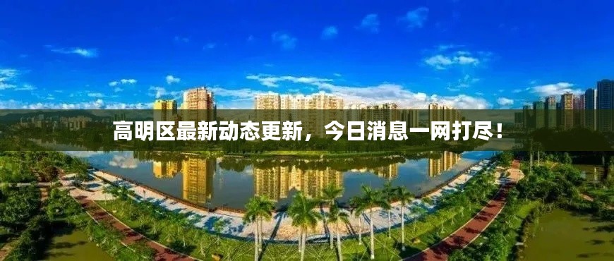 高明區(qū)最新動態(tài)更新，今日消息一網(wǎng)打盡！