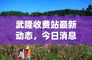 武隆收費(fèi)站最新動態(tài)，今日消息全解析