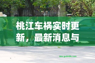 桃江車禍實時更新，最新消息與現(xiàn)場情況揭秘