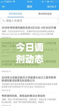 今日調(diào)劑動態(tài)速遞，最新消息全面解析