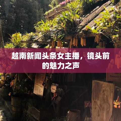 越南新聞?lì)^條女主播，鏡頭前的魅力之聲