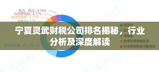 寧夏靈武財稅公司排名揭秘，行業(yè)分析及深度解讀