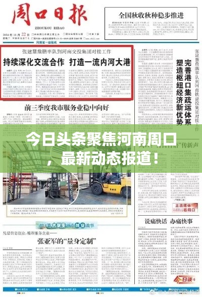 今日頭條聚焦河南周口，最新動態(tài)報道！