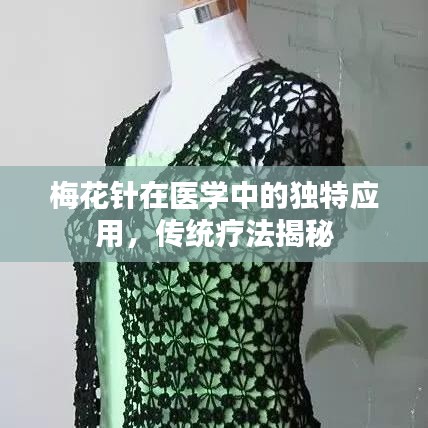 梅花針在醫(yī)學中的獨特應用，傳統(tǒng)療法揭秘