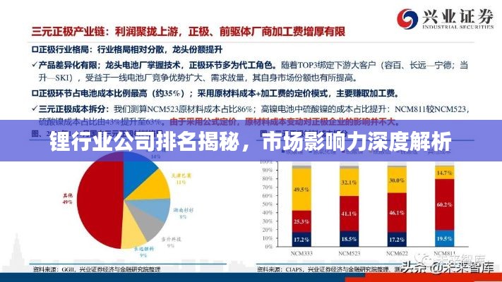 鋰行業(yè)公司排名揭秘，市場(chǎng)影響力深度解析