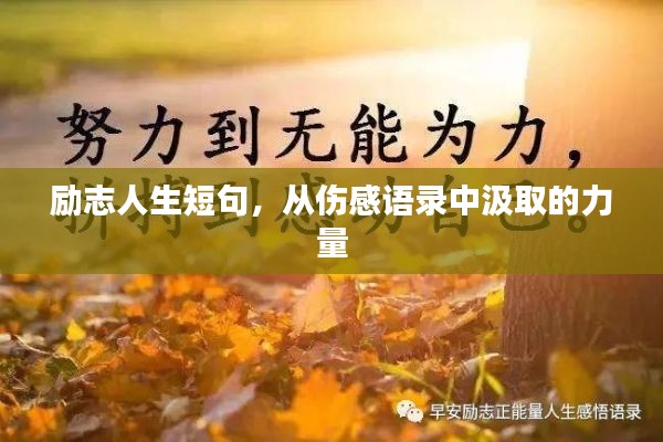 勵志人生短句，從傷感語錄中汲取的力量
