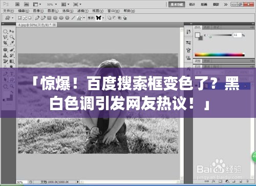 「驚爆！百度搜索框變色了？黑白色調(diào)引發(fā)網(wǎng)友熱議！」