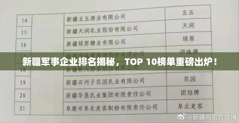 新疆軍事企業(yè)排名揭秘，TOP 10榜單重磅出爐！
