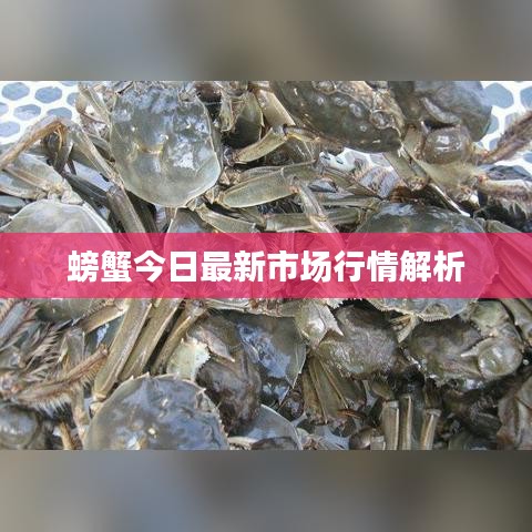 狗尾續(xù)貂 第3頁