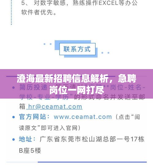 澄海最新招聘信息解析，急聘崗位一網(wǎng)打盡
