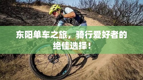 東陽單車之旅，騎行愛好者的絕佳選擇！