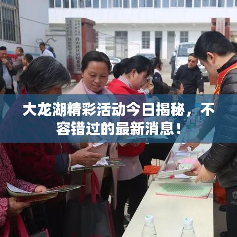 大龍湖精彩活動(dòng)今日揭秘，不容錯(cuò)過的最新消息！