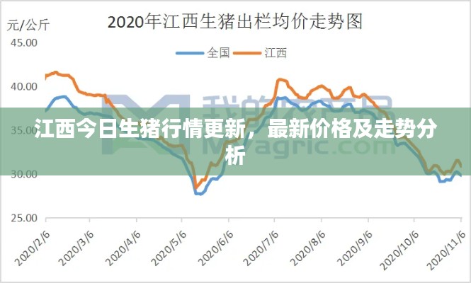 江西今日生豬行情更新，最新價格及走勢分析