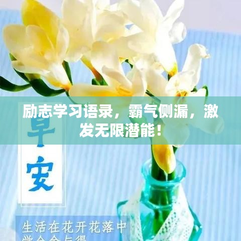 勵(lì)志學(xué)習(xí)語(yǔ)錄，霸氣側(cè)漏，激發(fā)無(wú)限潛能！