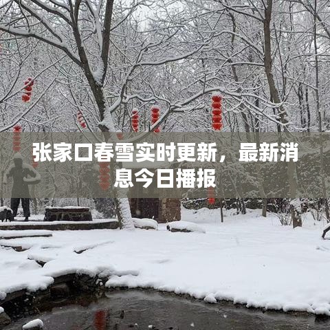 張家口春雪實(shí)時(shí)更新，最新消息今日播報(bào)
