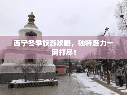 西寧冬季旅游攻略，獨特魅力一網(wǎng)打盡！