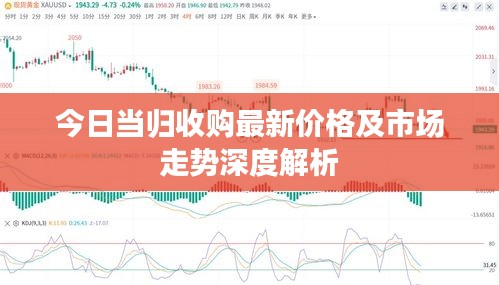 今日當(dāng)歸收購(gòu)最新價(jià)格及市場(chǎng)走勢(shì)深度解析