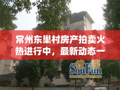 常州東巢村房產(chǎn)拍賣(mài)火熱進(jìn)行中，最新動(dòng)態(tài)一網(wǎng)打盡
