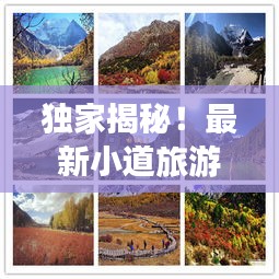 獨(dú)家揭秘！最新小道旅游攻略大全，帶你暢游未知美景