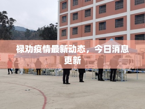 祿勸疫情最新動態(tài)，今日消息更新