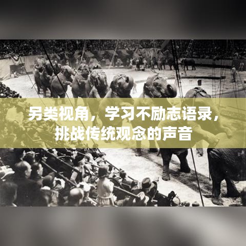 另類視角，學(xué)習(xí)不勵志語錄，挑戰(zhàn)傳統(tǒng)觀念的聲音