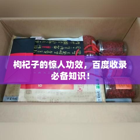 枸杞子的驚人功效，百度收錄必備知識(shí)！