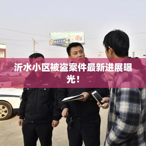 沂水小區(qū)被盜案件最新進展曝光！