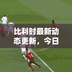 比利時(shí)最新動態(tài)更新，今日狀況揭秘！